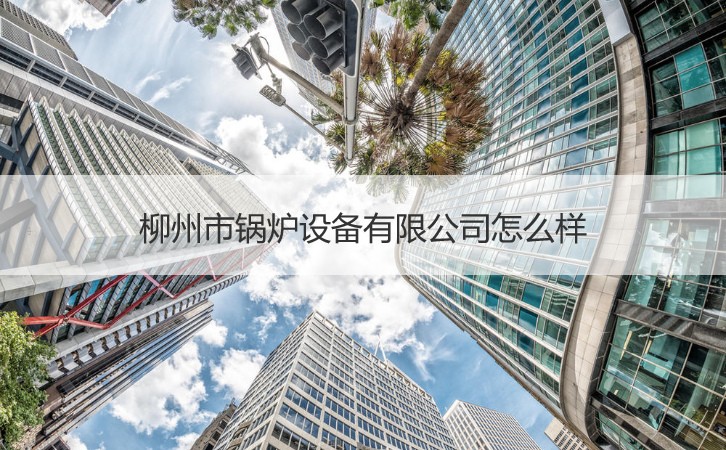 柳州的產(chǎn)業(yè)機遇 鍋爐設備、就業(yè)環(huán)境與針紡原料銷售分析
